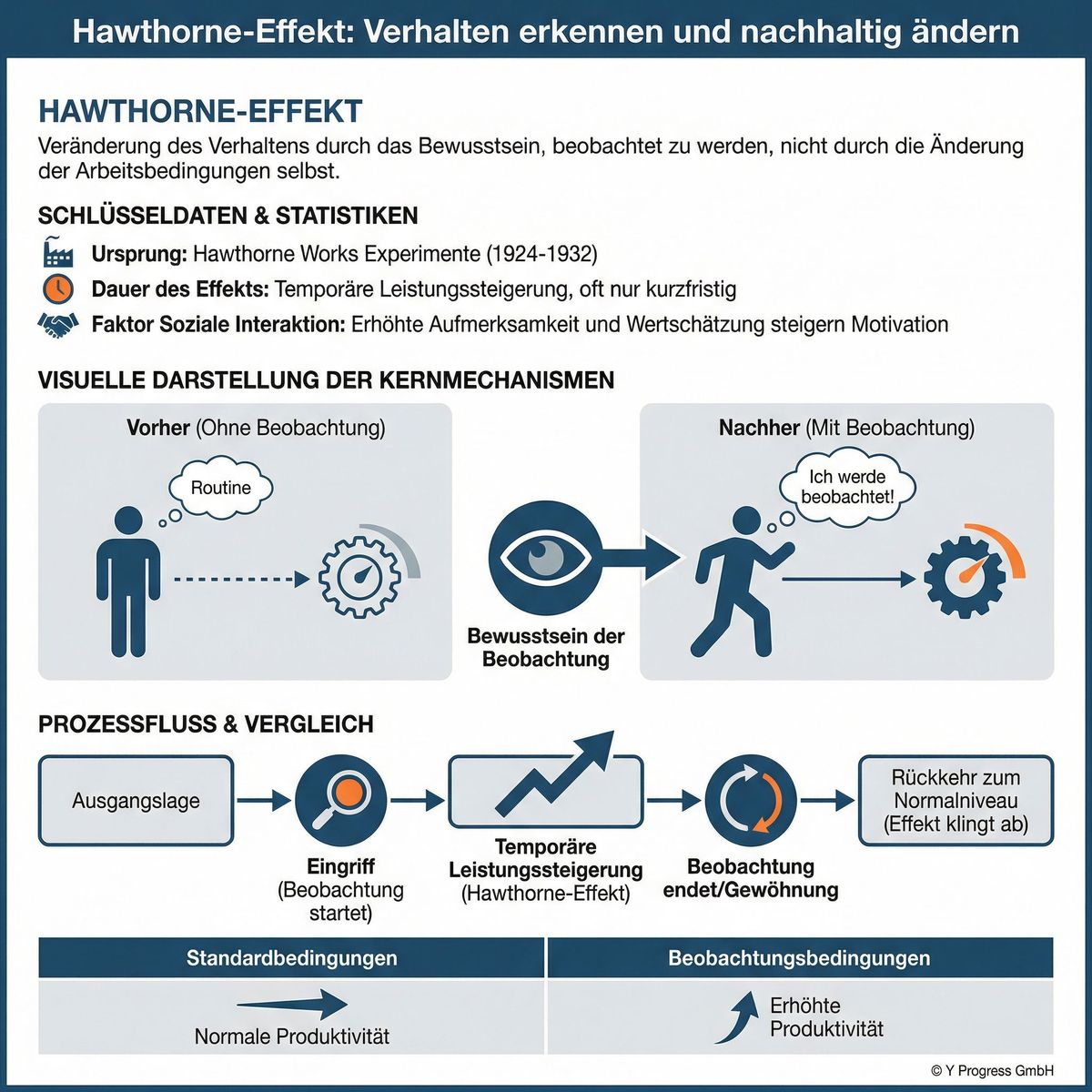 Erstelle eine professionelle Infografik zum Hawthorne-Effekt für den Artikel
